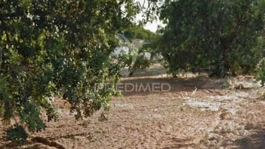 Terreno para Arrendamento em Quarteira