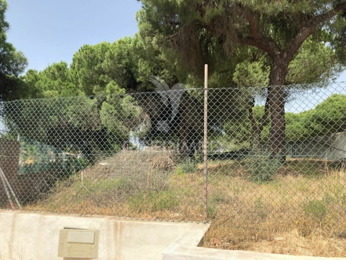 Terreno para Arrendamento em Almancil Foto 3