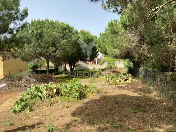 Terreno para Arrendamento em Almancil Foto 2