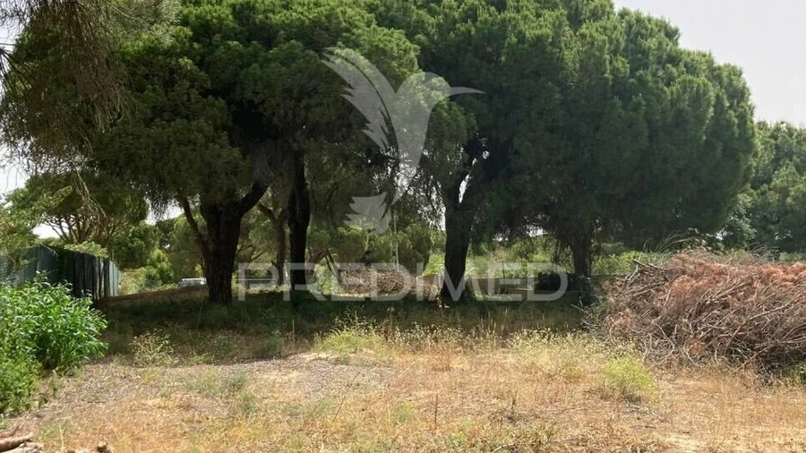 Terreno para Arrendamento em Almancil
