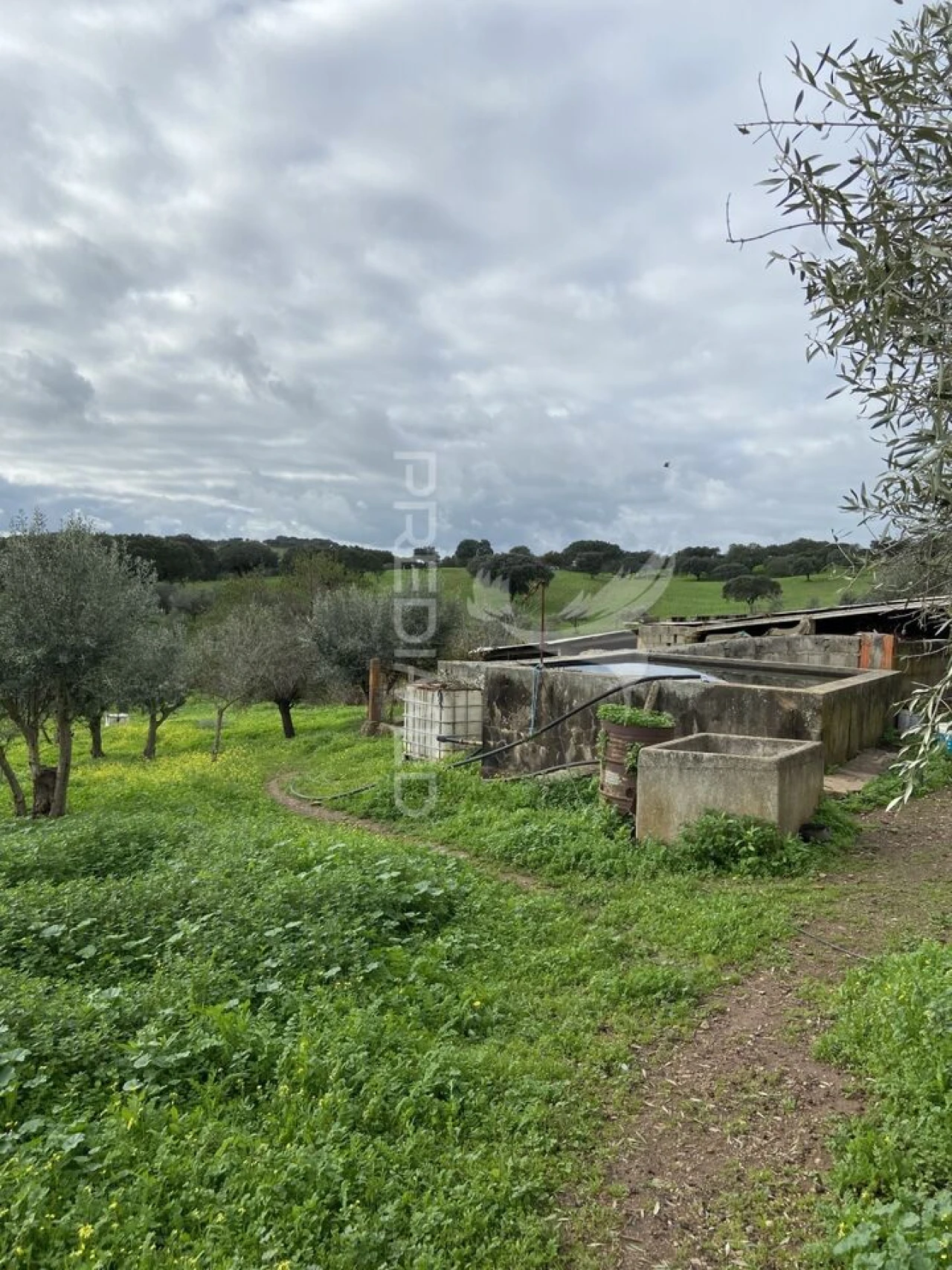 Moradia T1 para Venda em Nossa Senhora da Conceição, São Brás dos Matos, Juromenha Foto 2