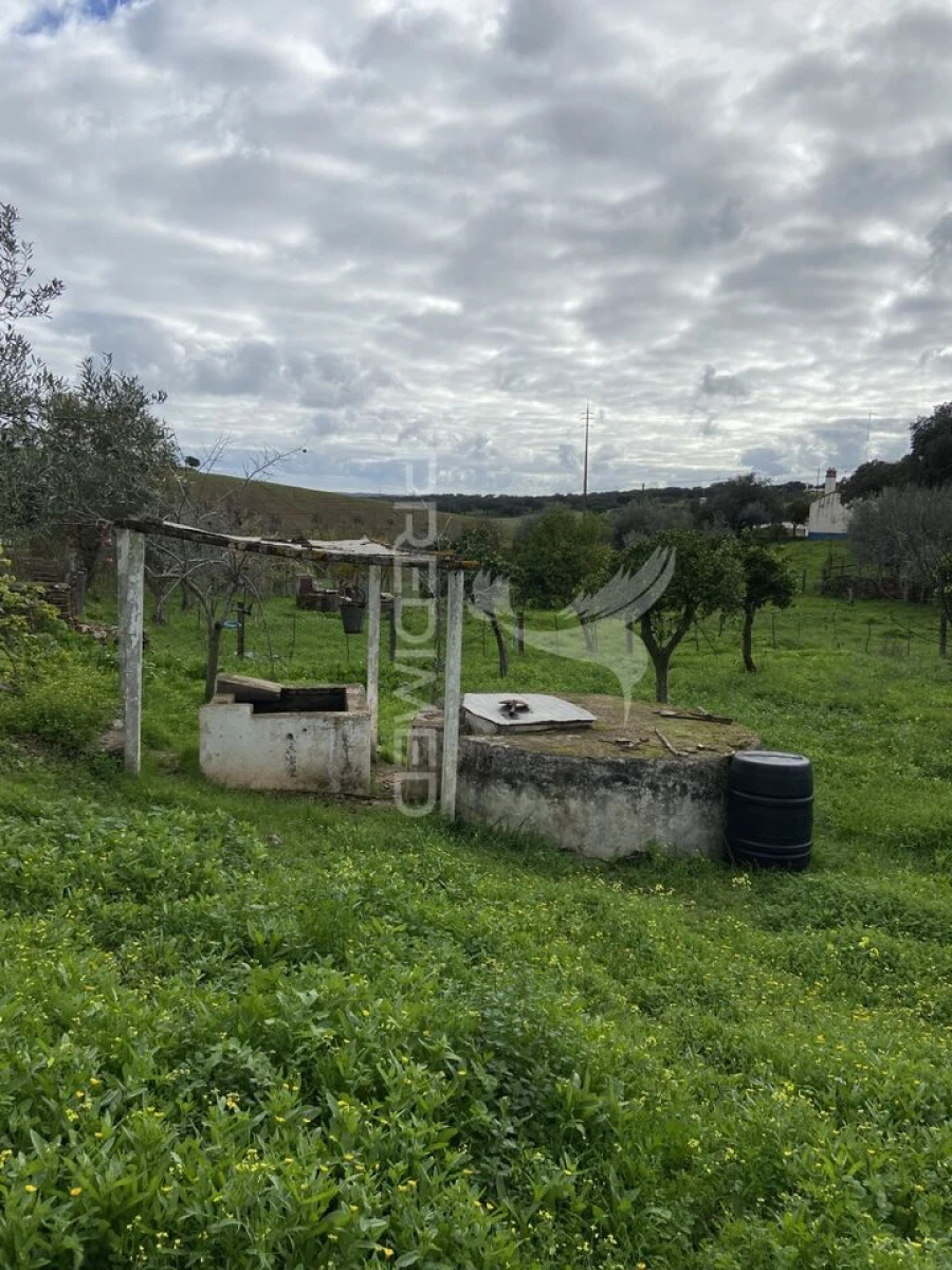 Moradia T1 para Venda em Nossa Senhora da Conceição, São Brás dos Matos, Juromenha Foto 14