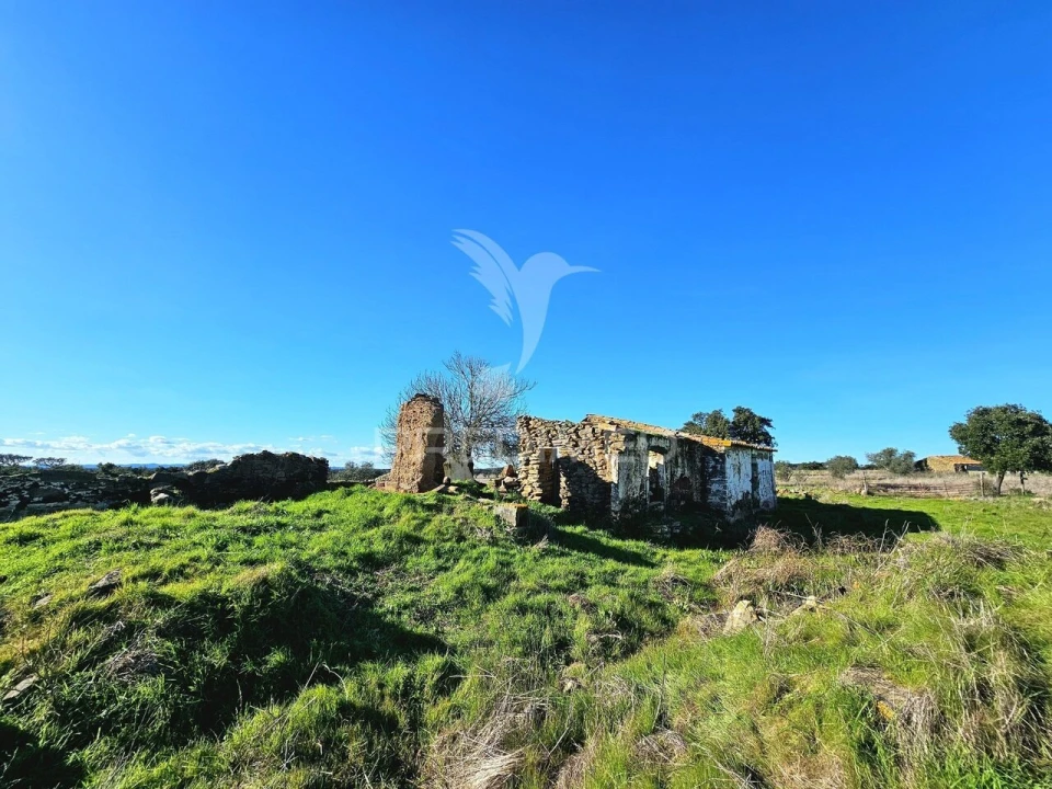 Quinta T0 para Venda em Ourique Foto 2