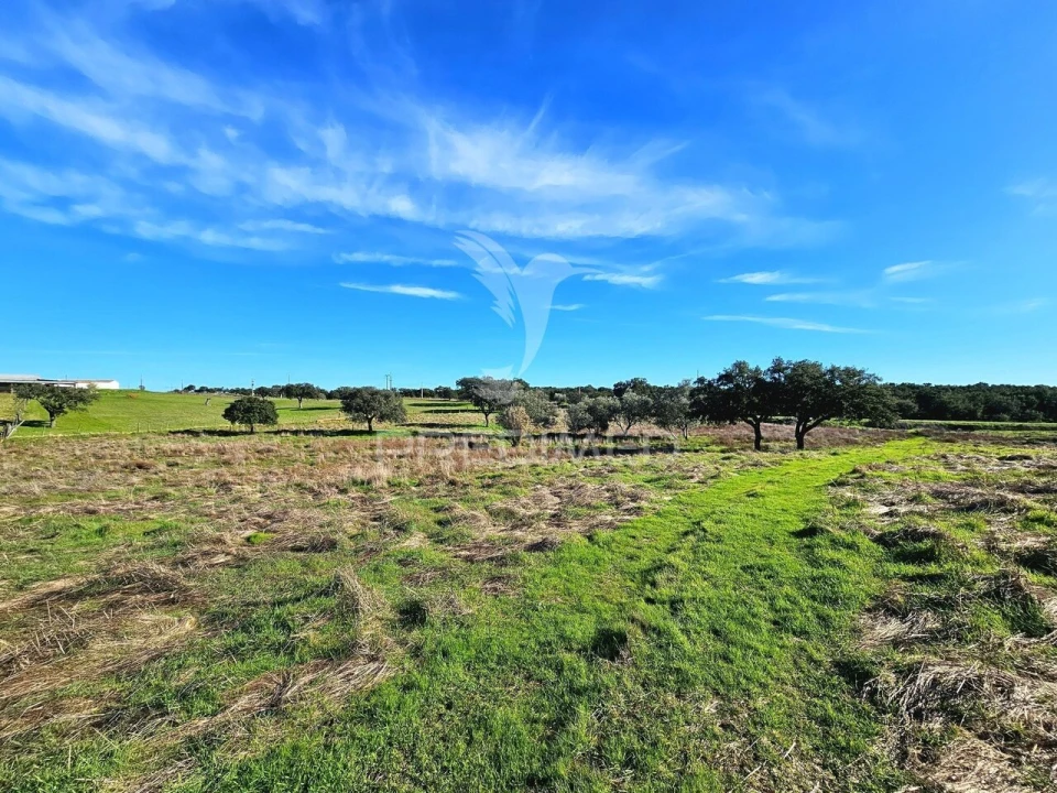 Quinta T0 para Venda em Ourique Foto 9