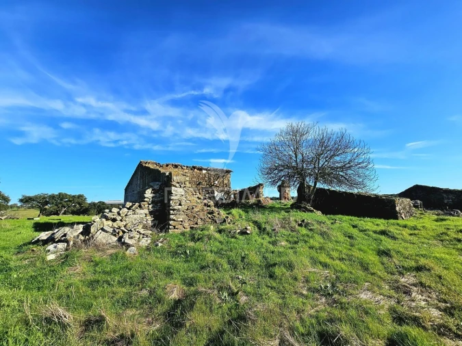 Quinta T0 para Venda em Ourique Foto 1