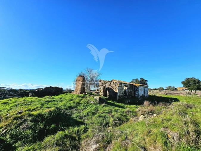 Quinta T0 para Venda em Ourique Foto 2