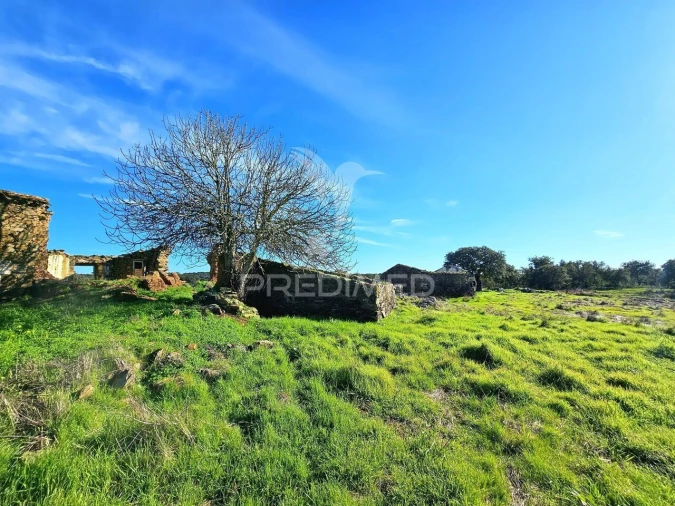 Quinta T0 para Venda em Ourique Foto 13