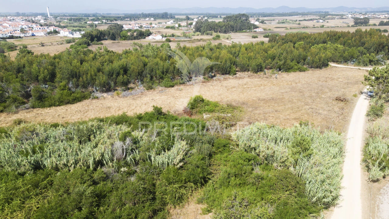 Quinta T1 para Venda em Longueira/Almograve Foto 14
