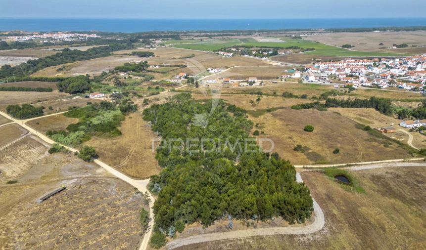 Quinta T1 para Venda em Longueira/Almograve Foto 5