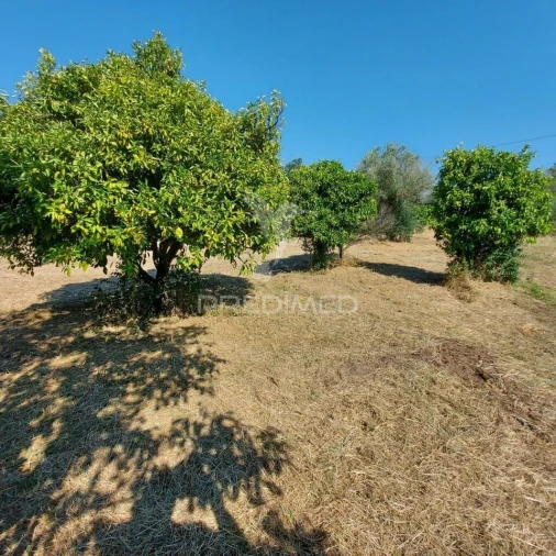 Moradia T3 para Venda em Arneiro das Milhariças Foto 21