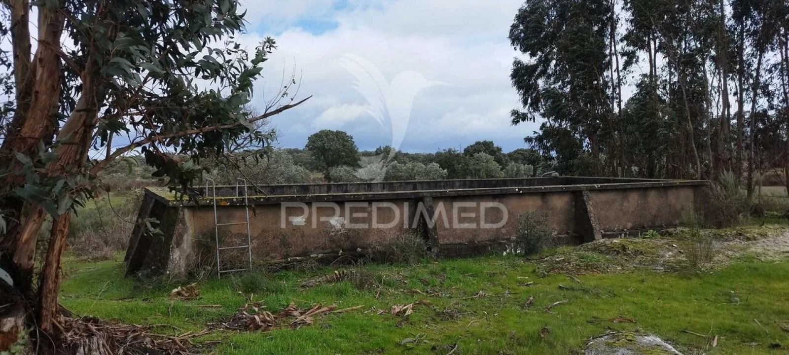 Terreno para Venda em Santa Maria da Devesa Foto 3