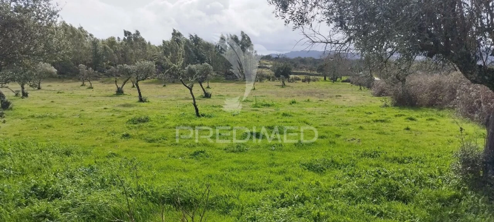 Terreno para Venda em Santa Maria da Devesa Foto 21