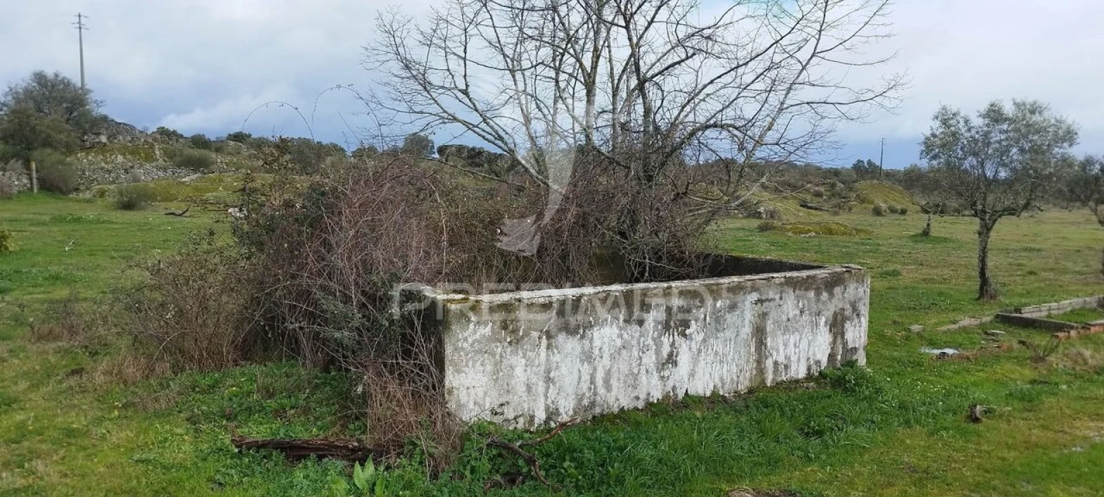 Terreno para Venda em Santa Maria da Devesa Foto 7