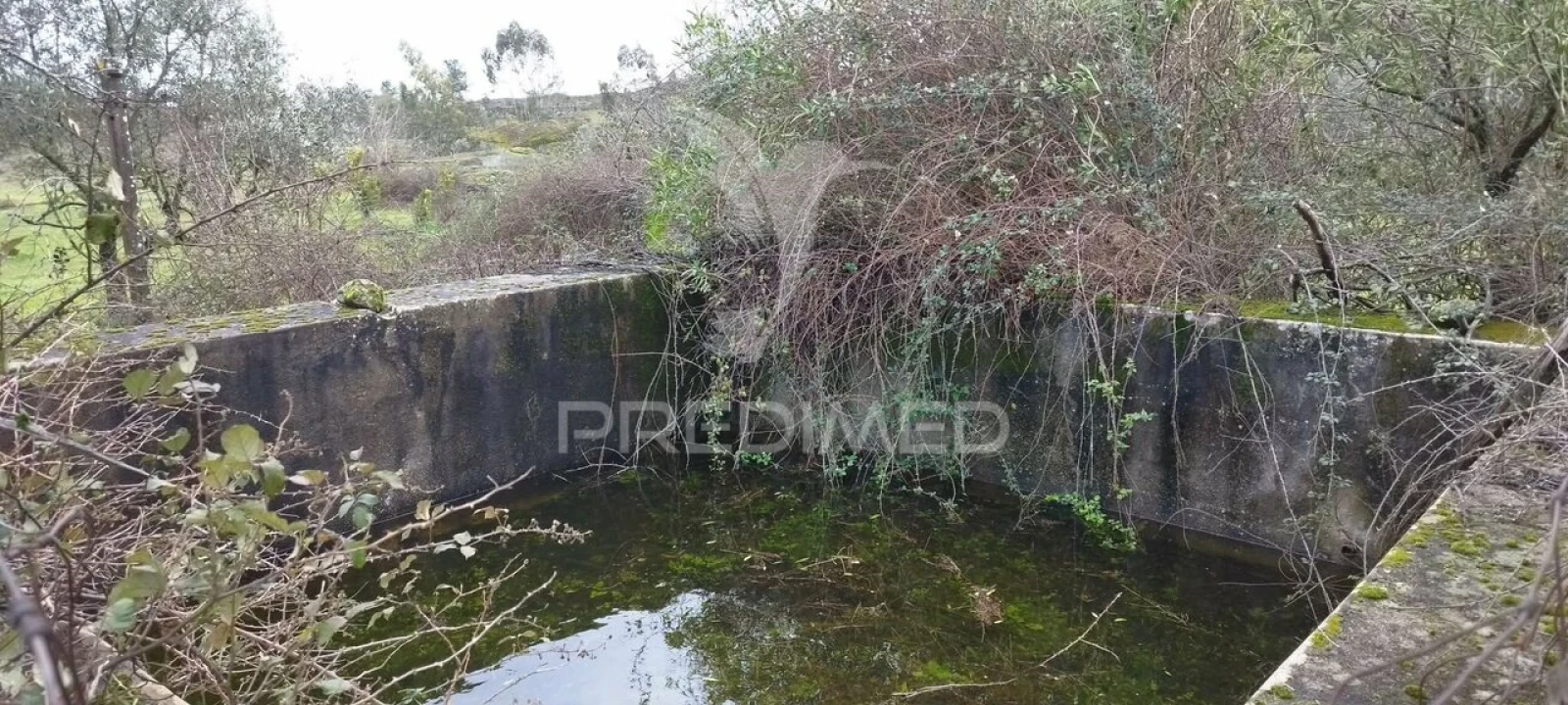 Terreno para Venda em Santa Maria da Devesa Foto 9