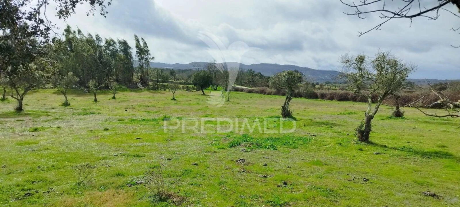 Terreno para Venda em Santa Maria da Devesa Foto 20
