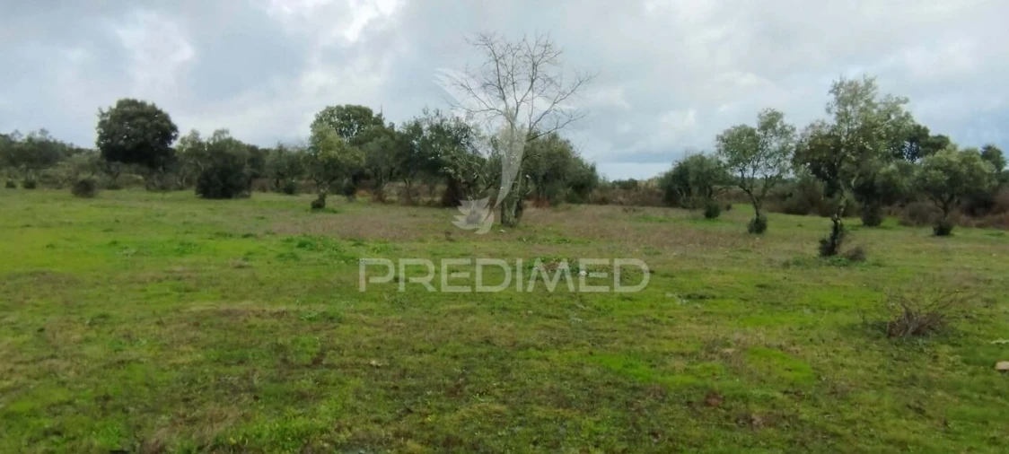 Terreno para Venda em Santa Maria da Devesa Foto 10