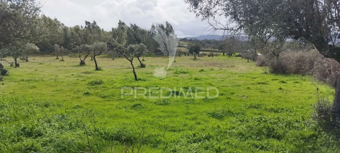 Terreno para Venda em Santa Maria da Devesa Foto 21
