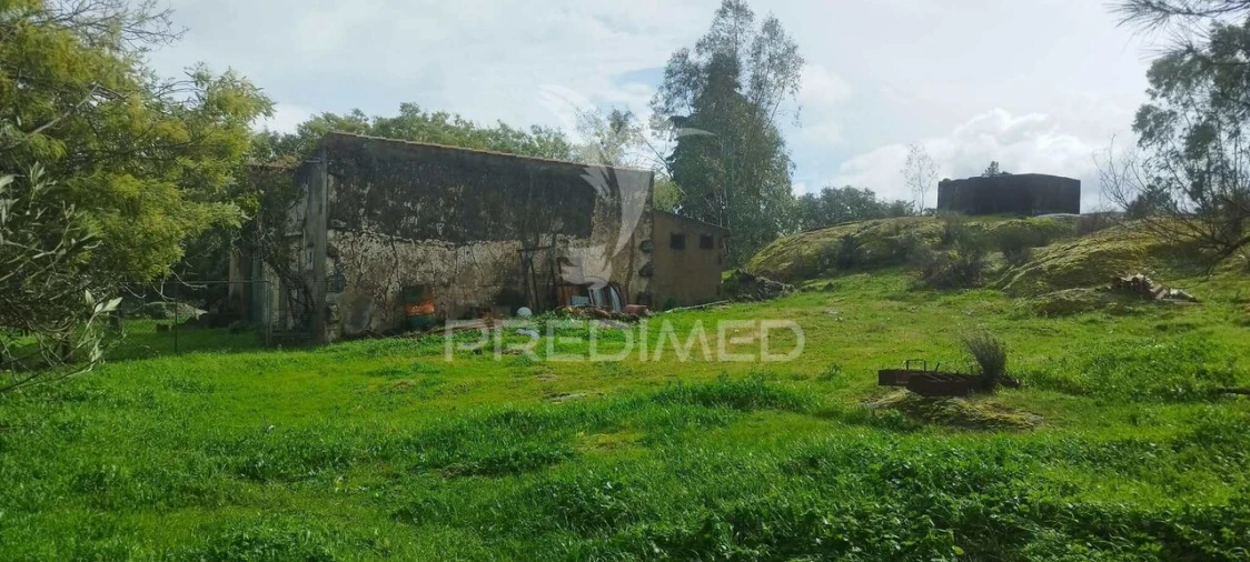 Terreno para Venda em Santa Maria da Devesa Foto 16