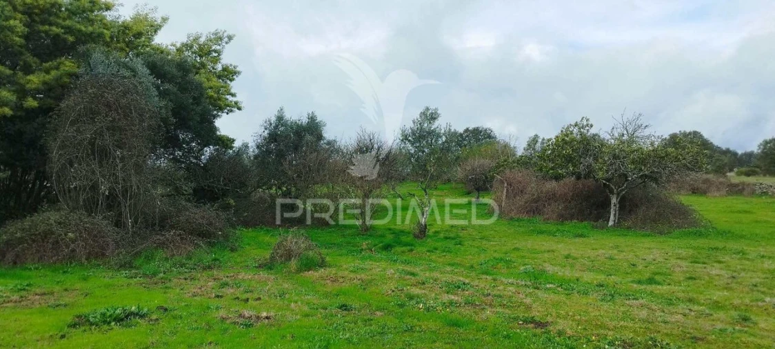 Terreno para Venda em Santa Maria da Devesa Foto 17