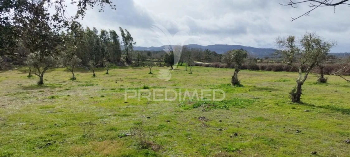 Terreno para Venda em Santa Maria da Devesa Foto 18