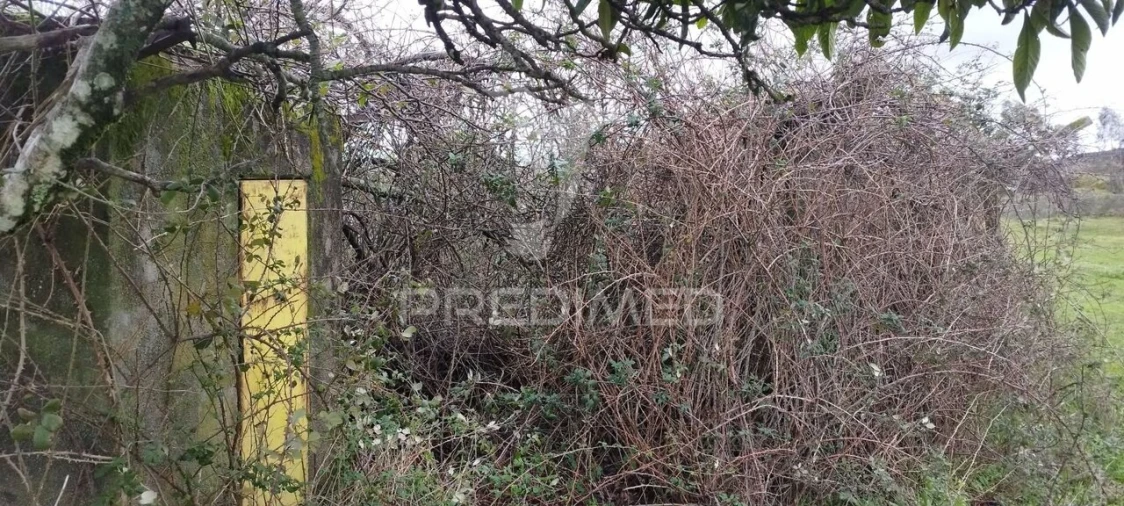 Terreno para Venda em Santa Maria da Devesa Foto 12