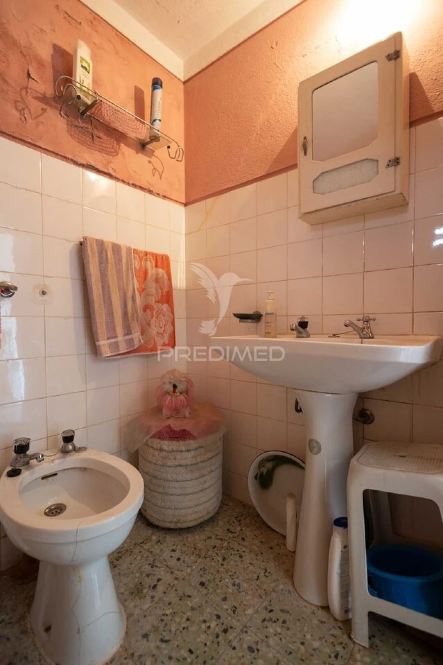 Moradia T4 para Venda em Nossa Senhora da Conceição, São Brás dos Matos, Juromenha Foto 16