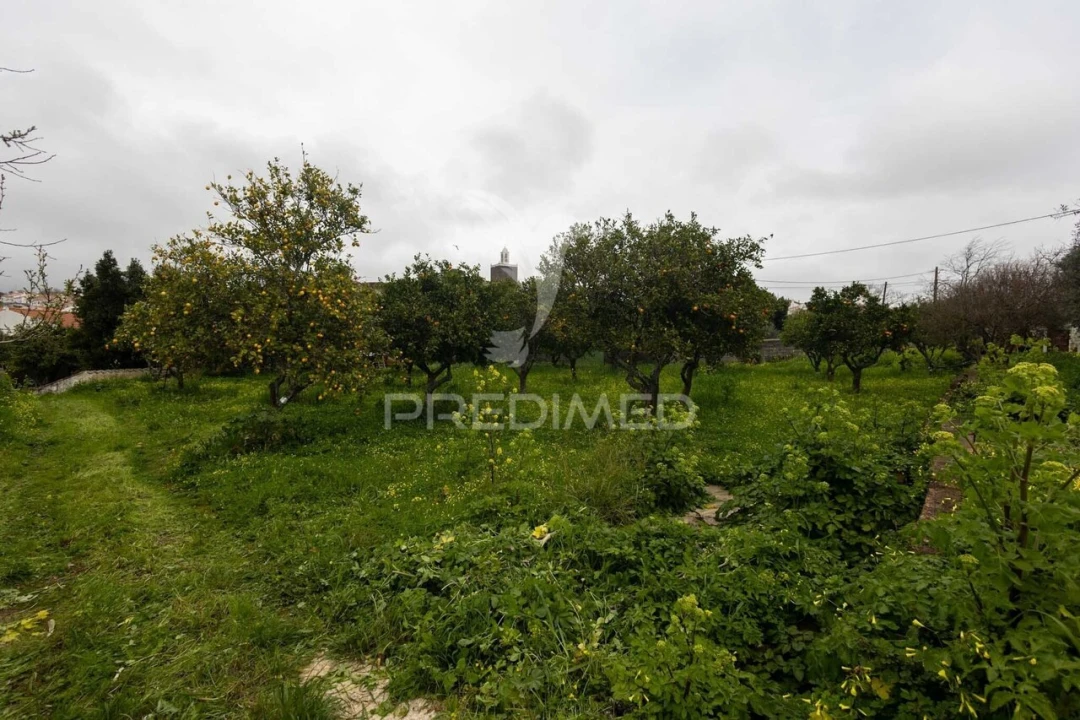 Moradia T4 para Venda em Nossa Senhora da Conceição, São Brás dos Matos, Juromenha Foto 23