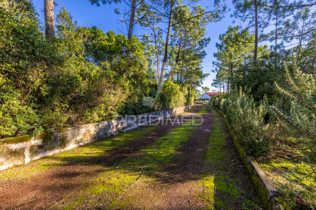 Moradia T7 para Venda em Aljubarrota Foto 34