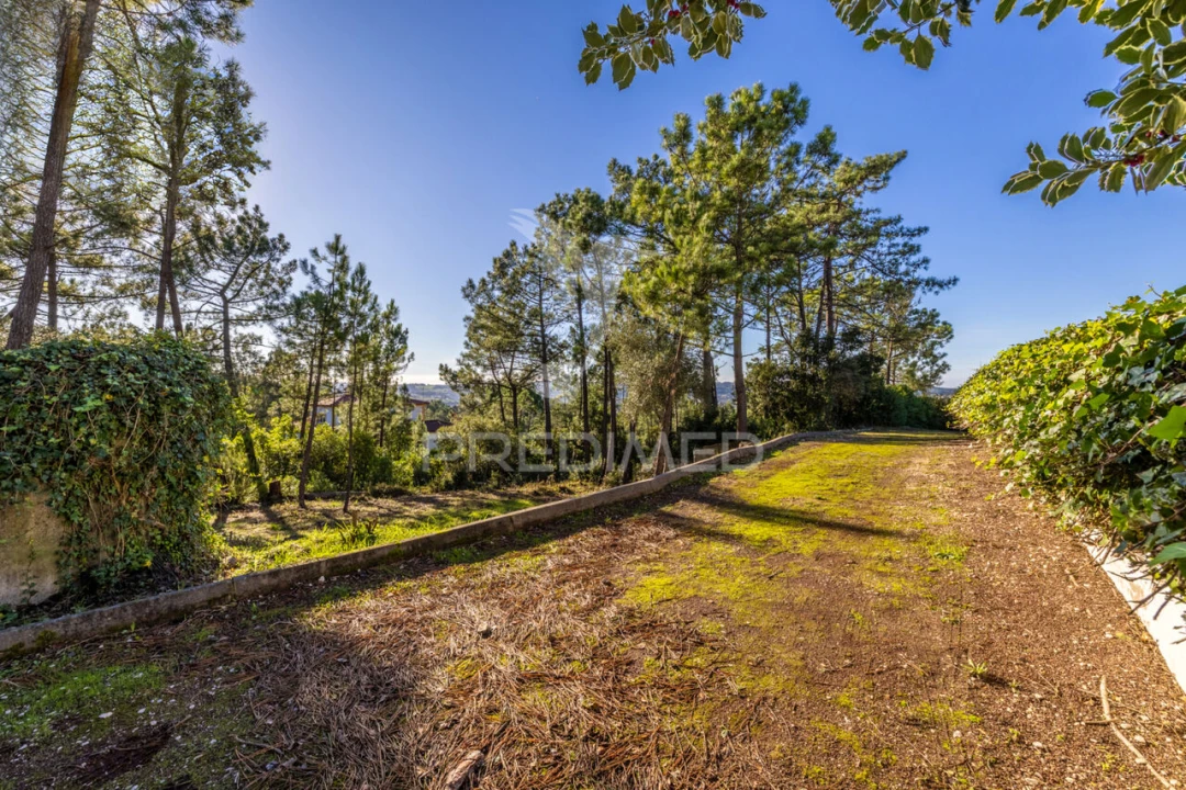 Moradia T7 para Venda em Aljubarrota Foto 32