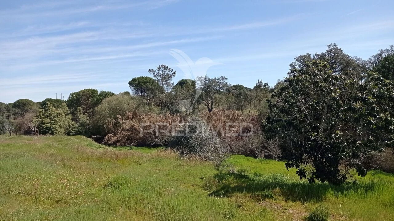 Quinta T2 para Venda em Couço Foto 22