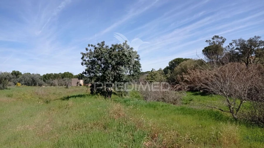 Quinta T2 para Venda em Couço Foto 20