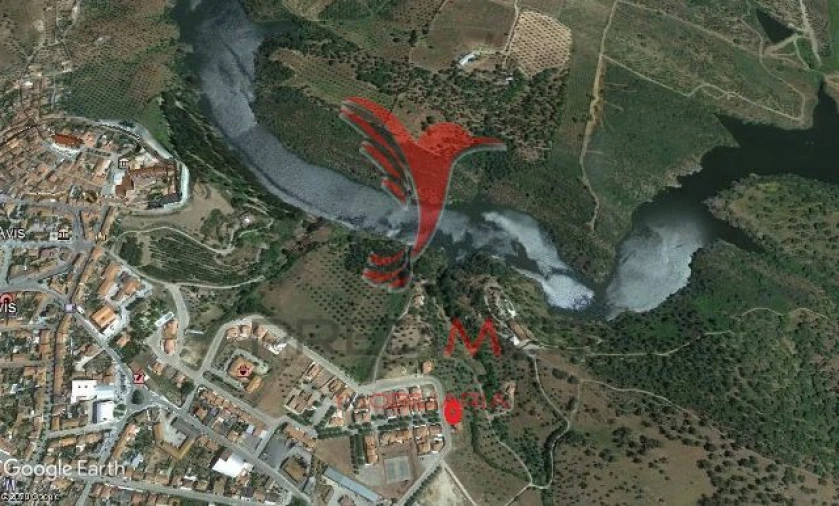 Terreno para Venda em Avis Foto 3