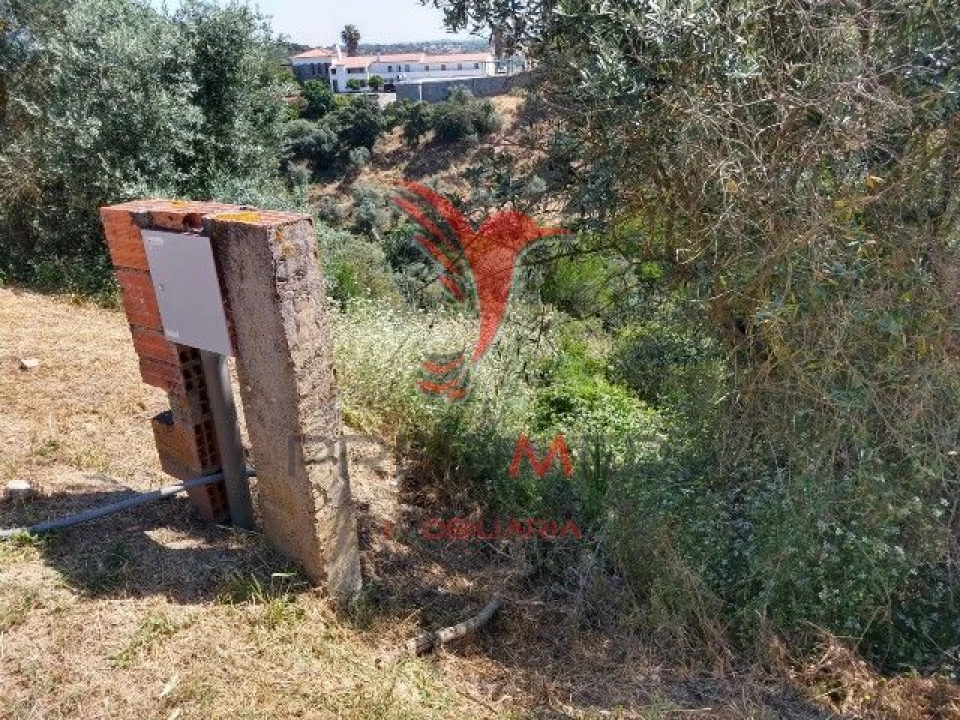 Terreno para Venda em Avis Foto 6