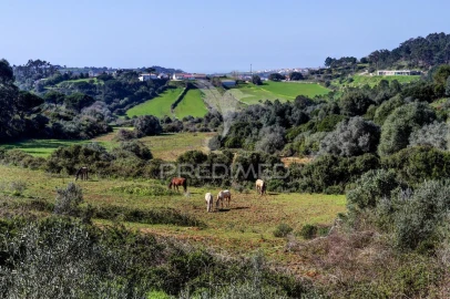 Moradia T4 para Venda em Mafra