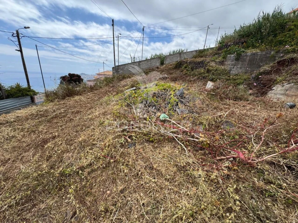 Terreno para Venda em Funchal (Santa Maria Maior) Foto 6