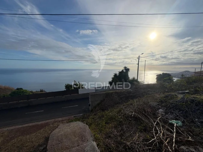Terreno para Venda em Funchal (Santa Maria Maior) Foto 15