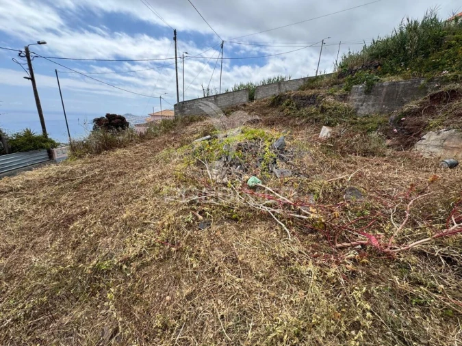 Terreno para Venda em Funchal (Santa Maria Maior) Foto 6