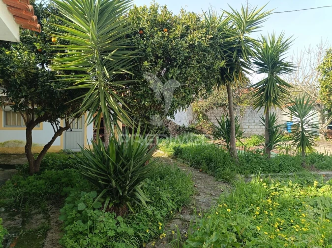 Terreno para Venda em Vale da Pedra Foto 6