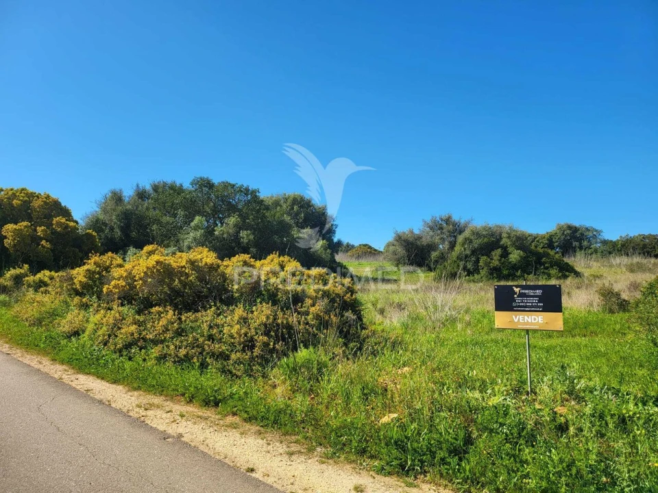 Terreno para Venda em Luz Foto 2