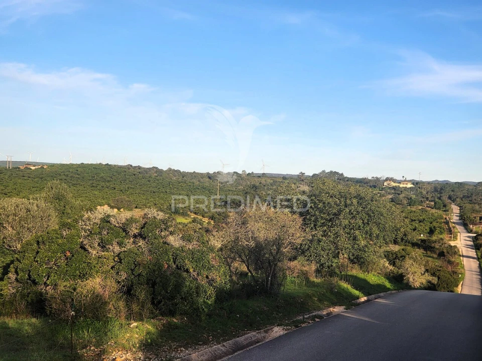 Terreno para Venda em Luz Foto 5