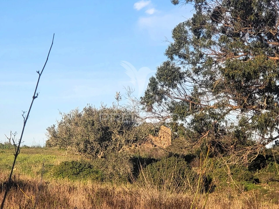 Terreno para Venda em Luz Foto 8
