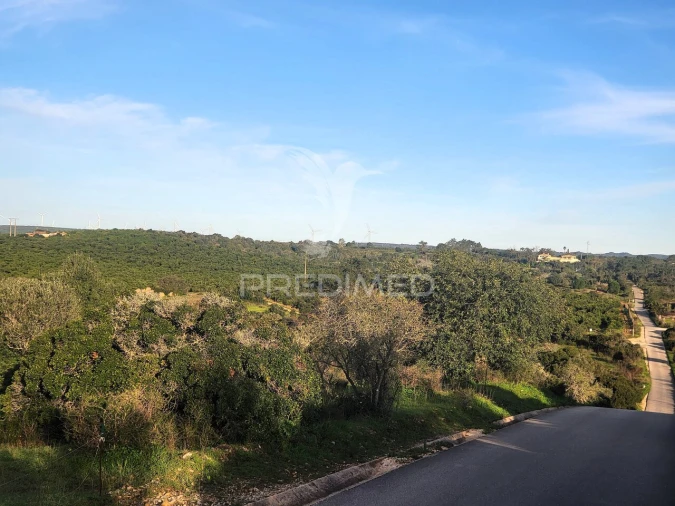 Terreno para Venda em Luz Foto 5