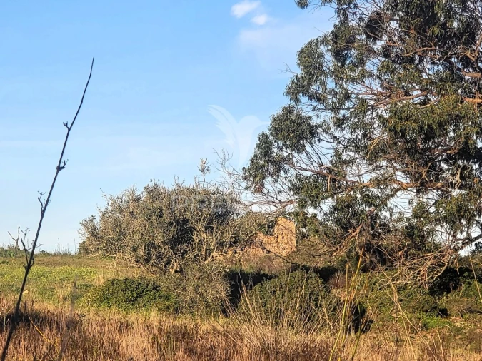 Terreno para Venda em Luz Foto 8
