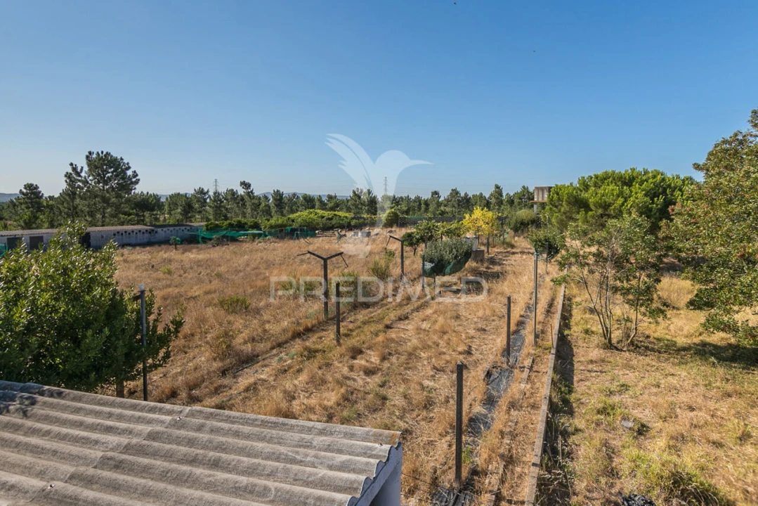 Terreno para Venda em Fernao Ferro Foto 3