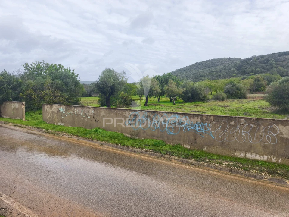 Terreno para Venda em Paderne Foto 2