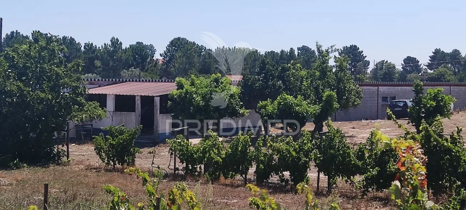 Quinta T3 para Venda em Vale da Pedra Foto 6