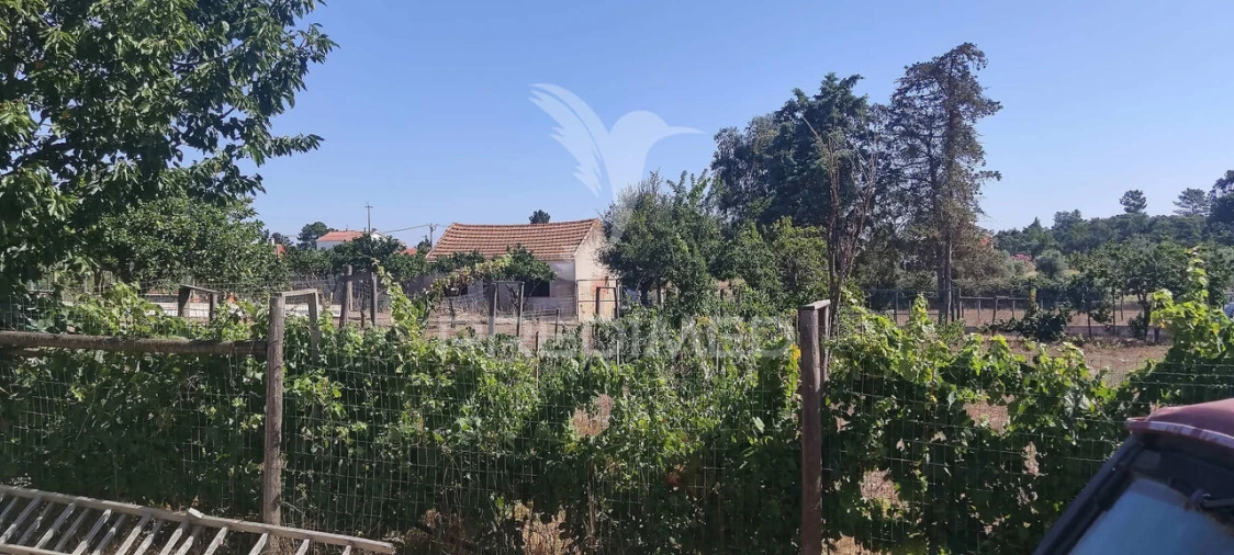 Quinta T3 para Venda em Vale da Pedra Foto 31