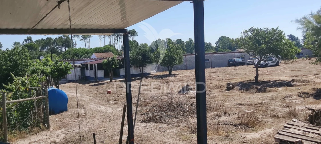 Quinta T3 para Venda em Vale da Pedra Foto 28