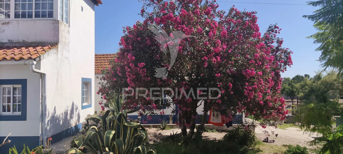 Quinta T3 para Venda em Vale da Pedra Foto 4