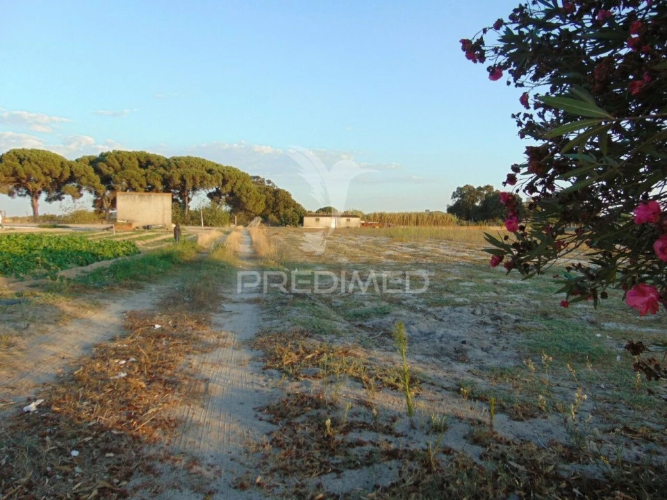 Terreno para Venda em Alcochete Foto 8